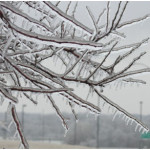 Travel tricky with ice and freezing rain - recycle cancelled; students dismissed from schools