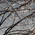 April showers freezing cold this weekend; nuisance flooding, power outages possible