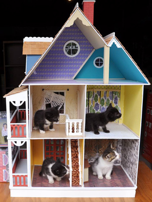 Cat-dollhouse-1-300
