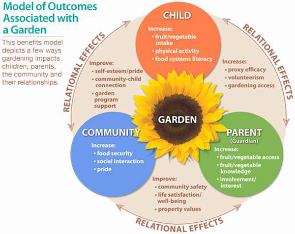 Community Unearths Garden Classroom Project Prince Edward County