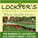 Spring planting and garden decor ideas at Lockyers