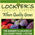 Hop on over to Lockyers for delightful Easter gifts