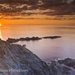 Visit Newfoundland or take day trips with Franklin Tours