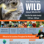 Get wild about wildlife - free event in Wellington Park Aug 10