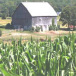 Farming assistance grants program report to council Thursday