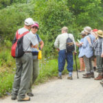 Taking a walk on the wild side - supporting PEC's South Shore