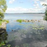 Four challenges remain to remove Bay of Quinte from area of concern list