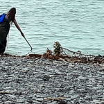Lake no longer at record high, but still higher than 2017