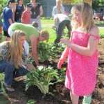Students team up with Greenspace project