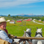 Alberta Ranch Preserved recalls halcyon days