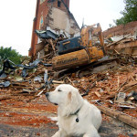 Dodger will bark about his travels