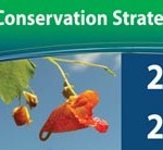 Quinte Conservation launches new strategic plan