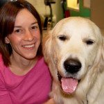 Will it all go to the dogs on Election Day?