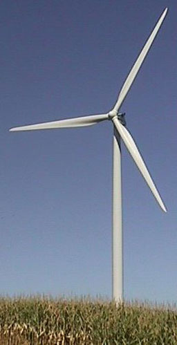 Council, Gilead, Nature Canada comments re: Wind Energy Park