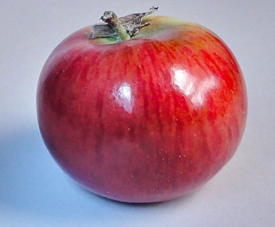 DMApple