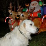 Dodger's top ten for Santa