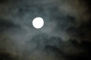 DM dreams of spring moon hangs bright