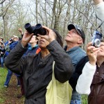 Local Residents Ignoring Our Point Pelee