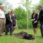 Green Streets $15,000 grant helps plant heritage trees in Prince Edward County