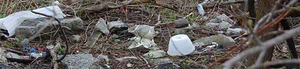 trash1