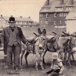 Donkeys work at the beach