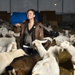 Fifth Town Cheese Company president steps down