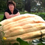 Young exhibitor 'gilded the geranium' at The Picton Fair