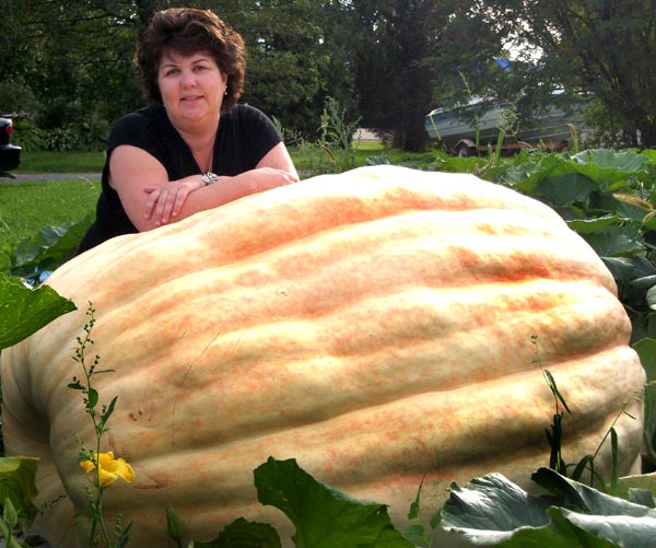 Sue Vincent 2011 pumpkin
