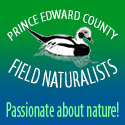 Council OKs $20,000 support of Field Naturalists' fight against turbines