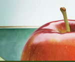 Nominate an educator or support staff for a Premier's Award