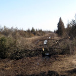 Trees downed along Hilltop Road