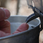 The sap is running just fine