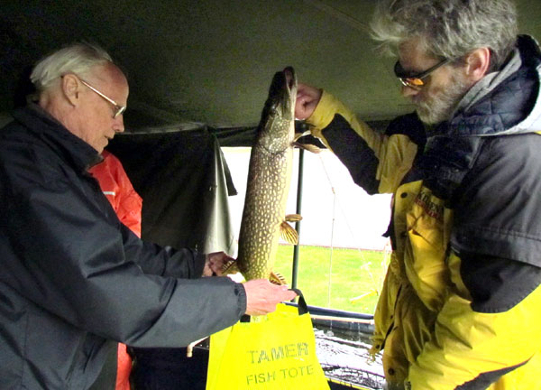 Dave Pare 8.6 pike