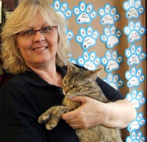 Store owner, Trisha, allowed Miss Manners the freedom of the store and she repaid her kindness by snitching several cat toys from their display bins.