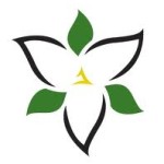 Three local groups share $282,500 in Trillium funding