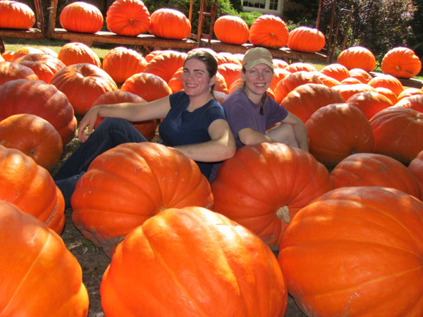 Langridge dooryard pumpkins