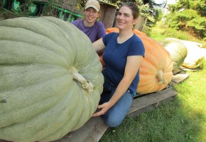 langridge giant pumpkins