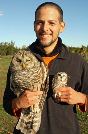 PEPtBO volunteer Ron Efrat holds a Barred Owl and a Northern Saw-whet Owl Photo by David Okines