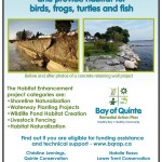 Funding available to help naturalize, enhance or protect your shoreline