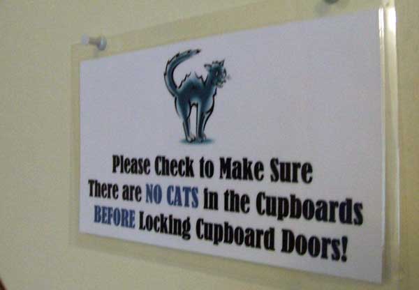 No-cats-in-cupboards