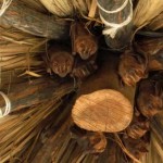 Eight lucky bats hang out in seaside palapa, Melaque Mexico. Photo by Jackie Sandiford, Courtenay B.C.
