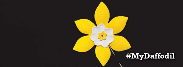 cancer-society-daffodil