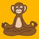 Make sure 'monkey mind' doesn’t drive you bananas!