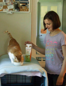 When 12-year-old Gilly of Kitchener met Rocky, it was love at first sight. She poured a bowl of cream for him and he purred his gratitude. The two have been corresponding for several months and last week met in purrson for the first time. 