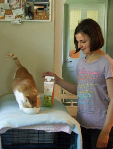 When 12-year-old Gilly of Kitchener met Rocky, it was love at first sight. She poured a bowl of cream for him and he purred his gratitude. The two have been corresponding for several months and last week met in purrson for the first time.