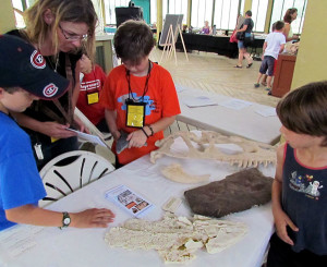 Visitors to the show examine fossils.