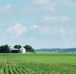 Tell council approving rental units on farm land is wrong