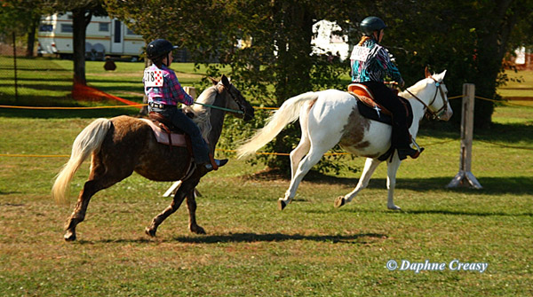Horse shows and competitions one of the highlights of the fair.
