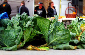 GIANTcabbage