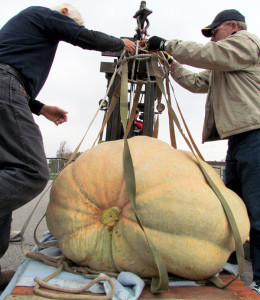 GIANTpumpkinlift